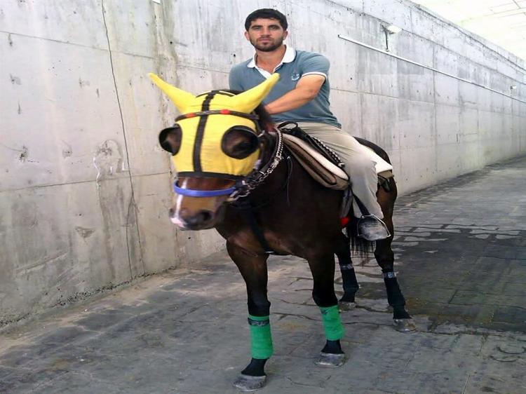 ATINA SEBZE GÖTÜRÜYORMUŞ