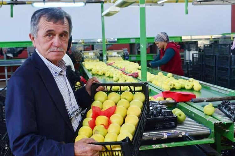 ELMA TEPELERİ DİKKATİ ÇEKİYOR