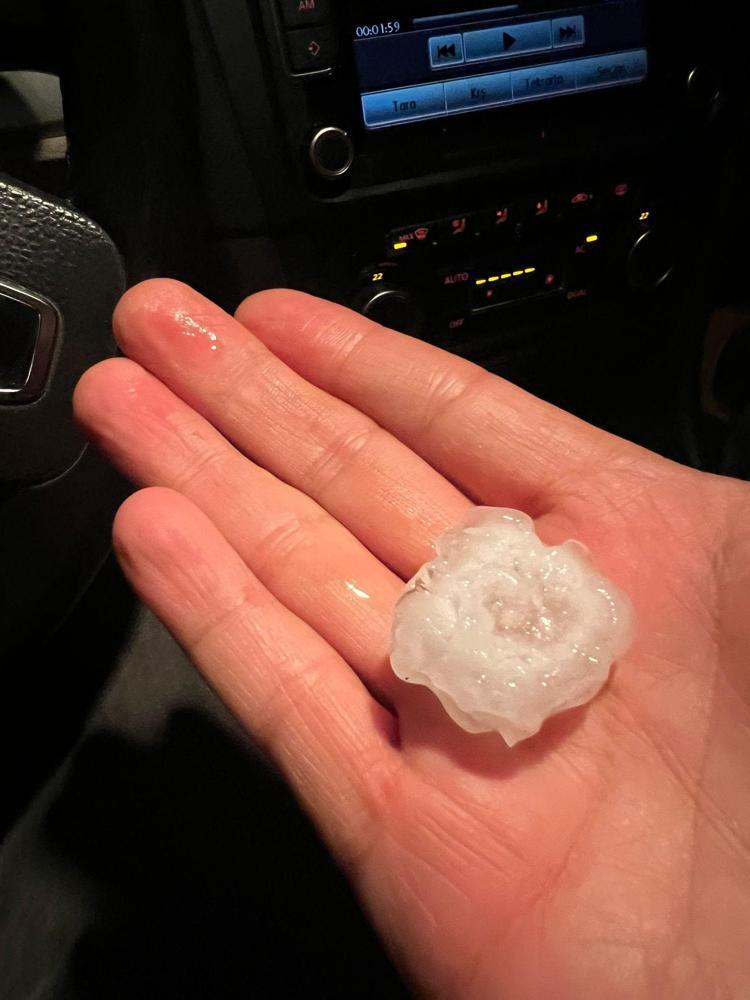 CEVİZ BÜYÜKLÜĞÜNDE DOLU