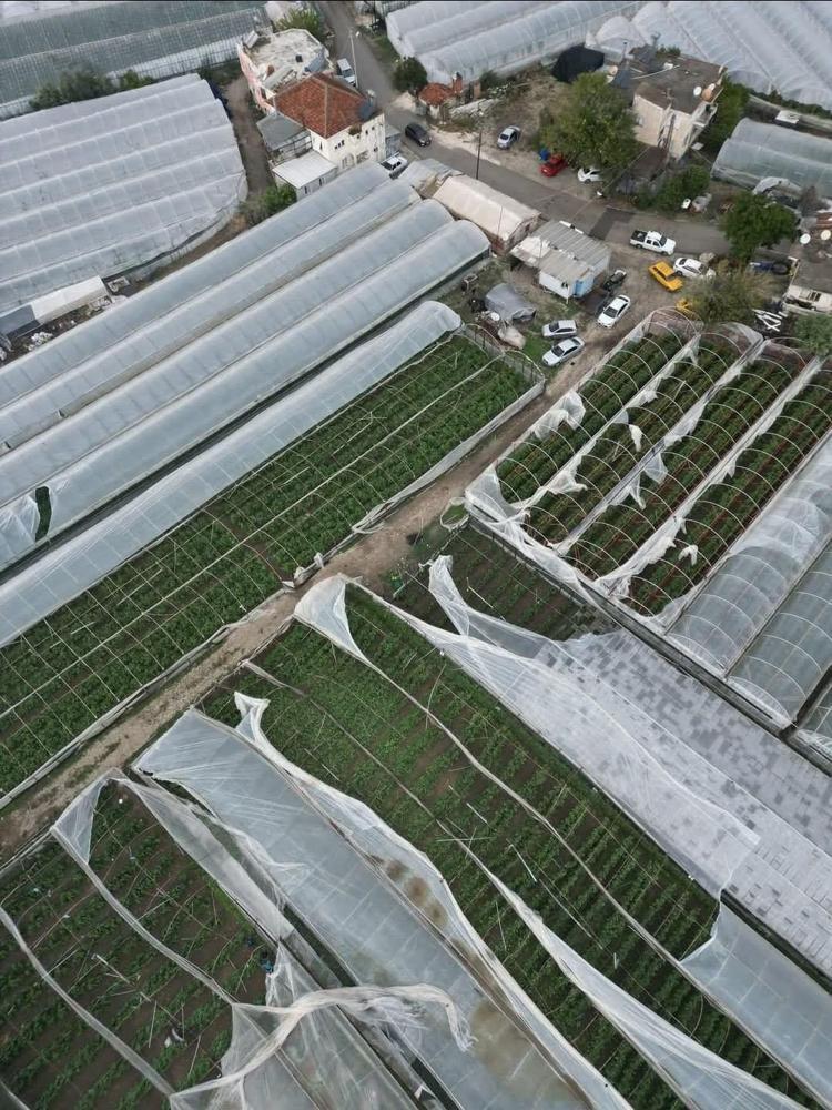 HORTUM SERALARIN ÖRTÜLERİNİ YIRTTI