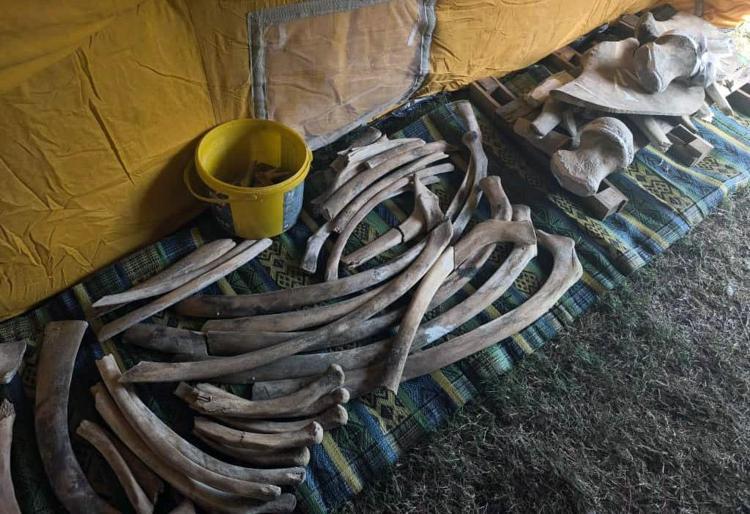 ‘KIRIĞIN TİPİNE GÖRE İŞLEM YAPIYORUZ’