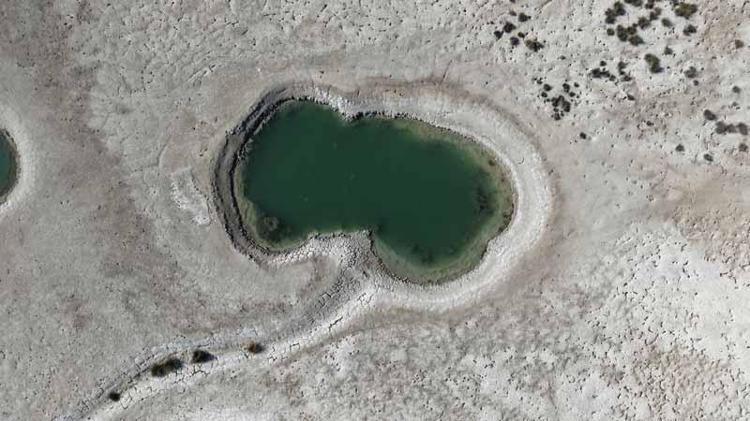 SUYUN YÜZDE 75İ MISIR VE YONCA ÜRETİMİNE GİDİYOR