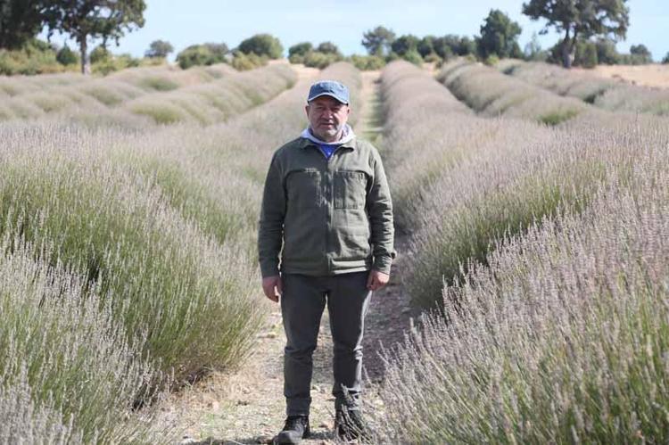 SUSUZ TARIM VE LAVANTA ÖRNEĞİ