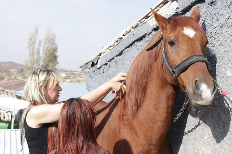 KADINLARA TAKTIĞIMIZ SAÇLARI KULLANIYORUZ