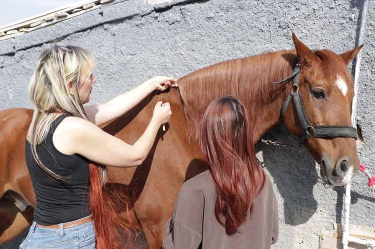 PAYLAŞMAYA BAŞLAYINCA İŞ HALİNE GELDİ