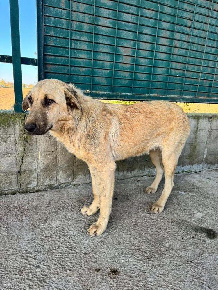 ‘CAN DOSTUMUZUN SAĞLIK DURUMU İYİ’