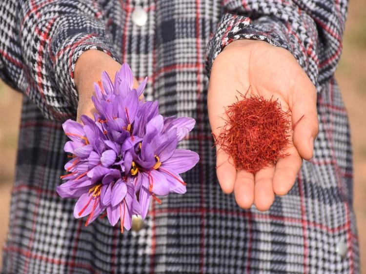 TECRÜBELERİMİ PAYLAŞMAYA ÇALIŞIYORUM