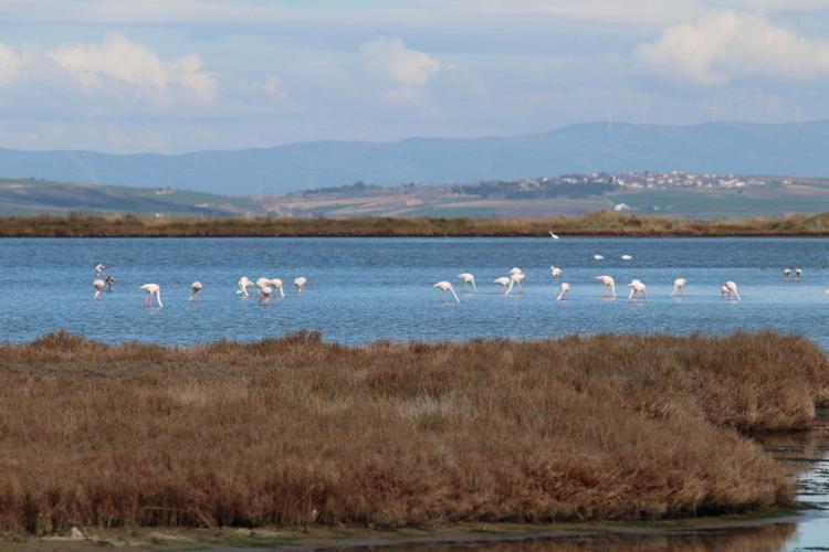 ÖNLEM ALINMAZSA BALIK STOKU AZALACAKTIR