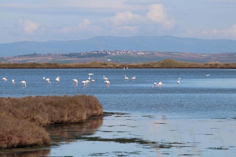 BİYOÇEŞİTLİLİK ÇOK ZENGİN