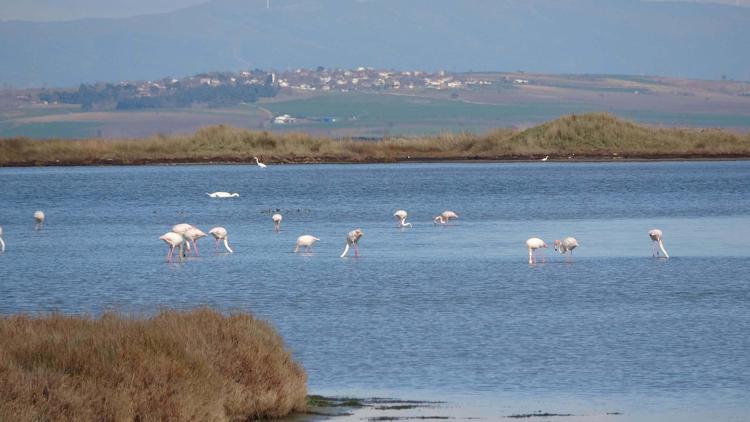 LAGÜNDE SU DÖNGÜSÜ AZALMIŞ