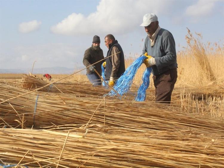SEKTÖR BAYAĞI GERİLEDİ