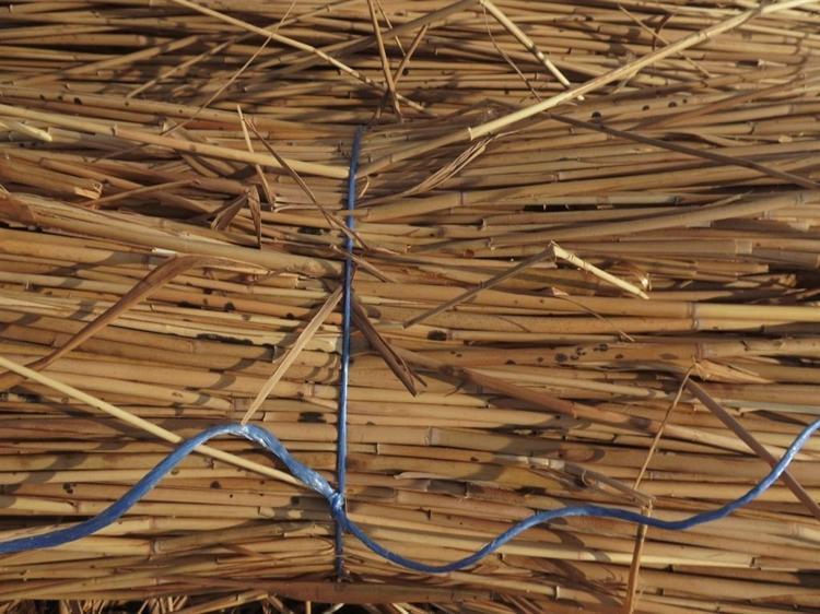 AVRUPADA DAHA RAĞBET GÖRÜYOR