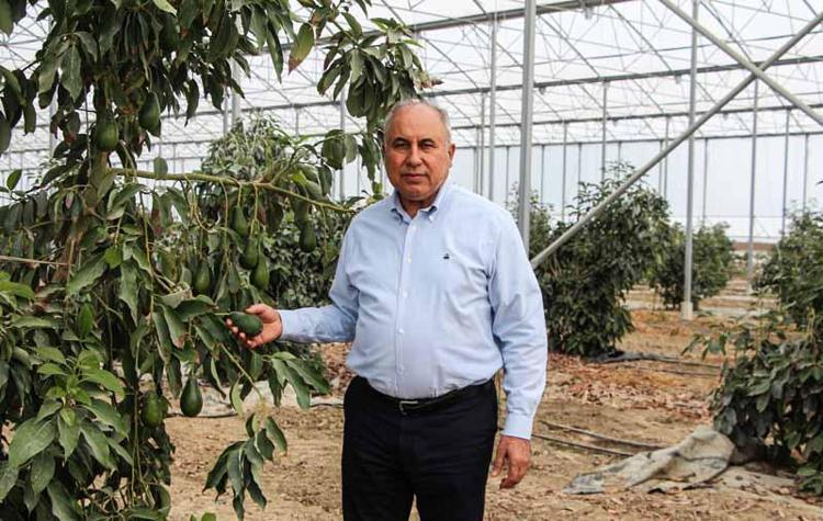 FINDIK VE ÇAY HARİÇ HER ŞEY YETİŞİYOR