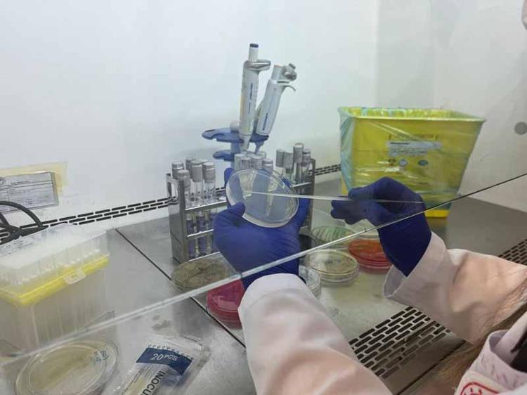 YURT DIŞINA DA HİZMET VERİYORUZ