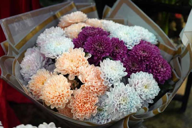 FİYATLAR 1000 TLDEN BAŞLIYOR