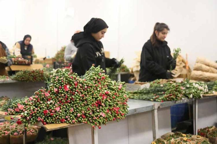 2 MİLYON DOLARLIK NOEL ÇELENGİ