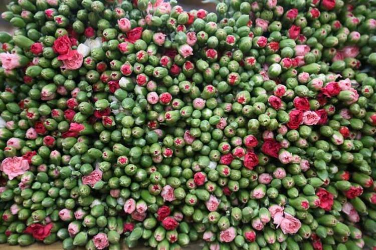 VAZOLARDAN ÇİÇEK EKSİK OLMUYOR