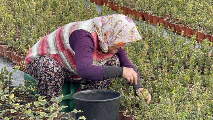 TOHUM VE ÇELİKTEN ÜRETİM YAPIYORUZ