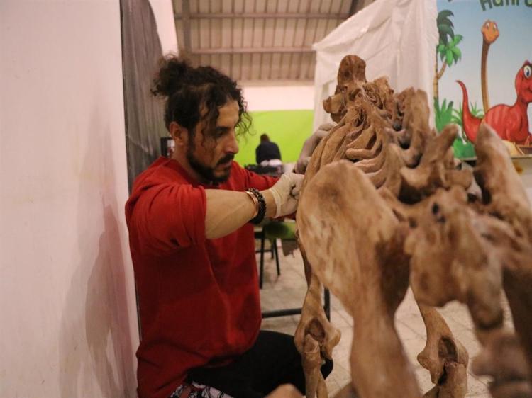 ‘GÜNÜMÜZ FİLLERİNDEN ÇOK FARKLI ÖRNEKLER’