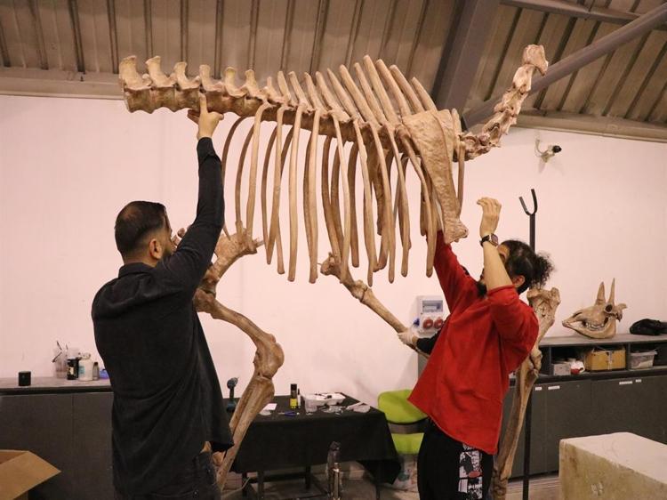 ORİJİNAL BOYUTUNA YAKIN BİR VERİ SUNUYOR