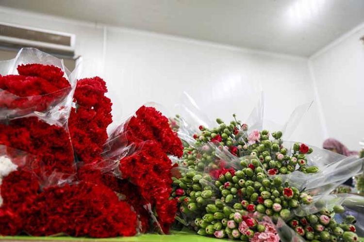 ÇALIŞANLARIN YÜZDE 80İ KADIN