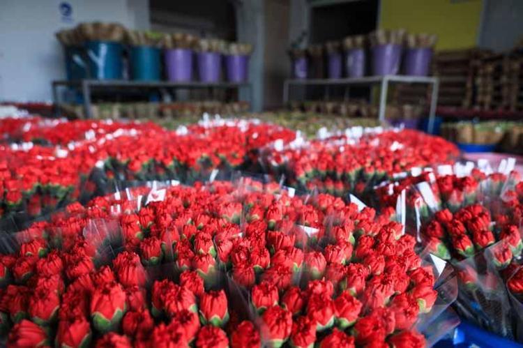 AVRUPADA 100, TÜRKİYEDE 3-4 AVRO