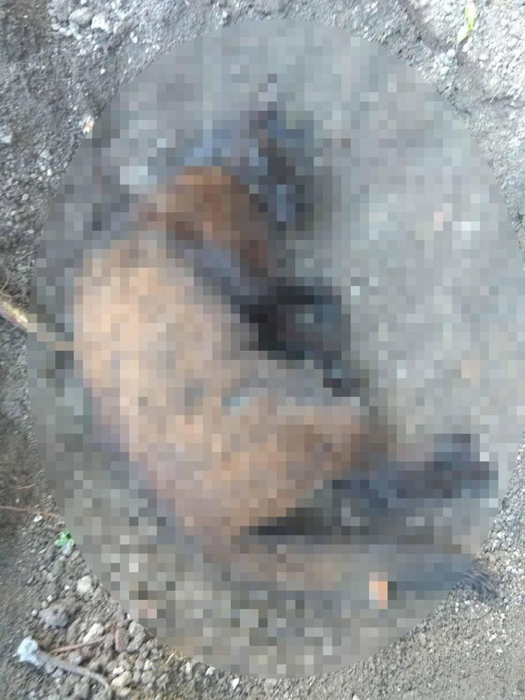 KONUNUN TAKİPÇİYİZ