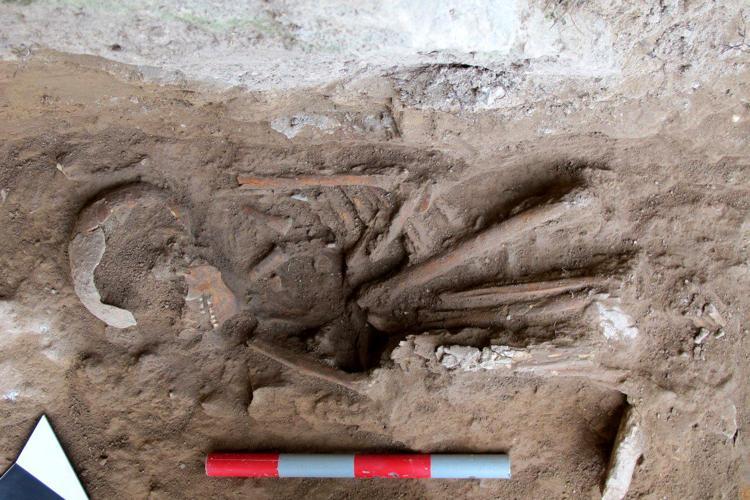 ÇÖMLEK İNSAN DEĞİLDİR TEZİNE GENETİK DESTEK