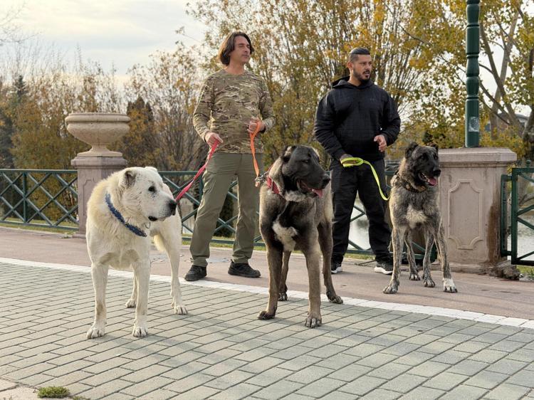 ‘ÇOK BÜYÜK SEVGİ SAYGI VE HAYRANLIK DUYUYORUM’