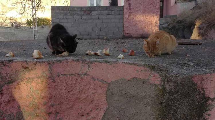 ‘ONLARI EVLADIM GİBİ GÖRÜYORUM’