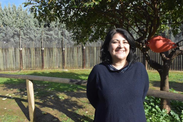 KARŞILIKLI İYİLİK HALİ