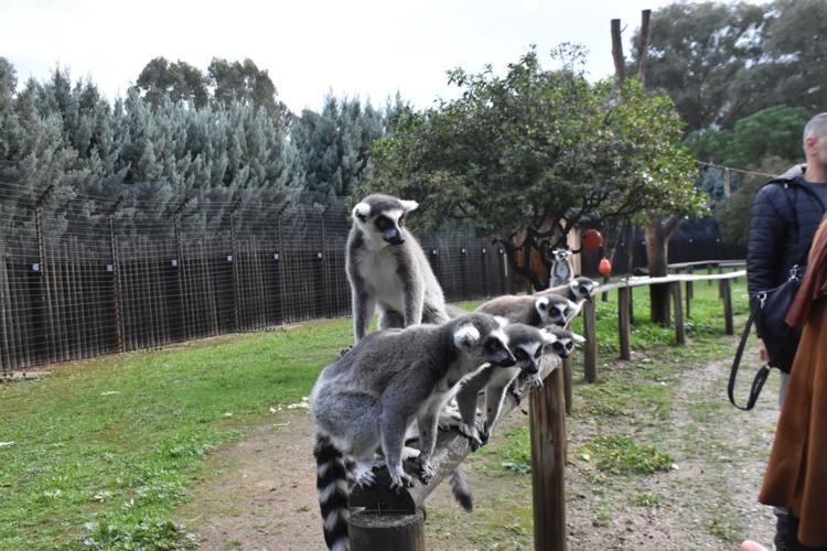 DAHA ÖNCE DOKUNAMAZDI