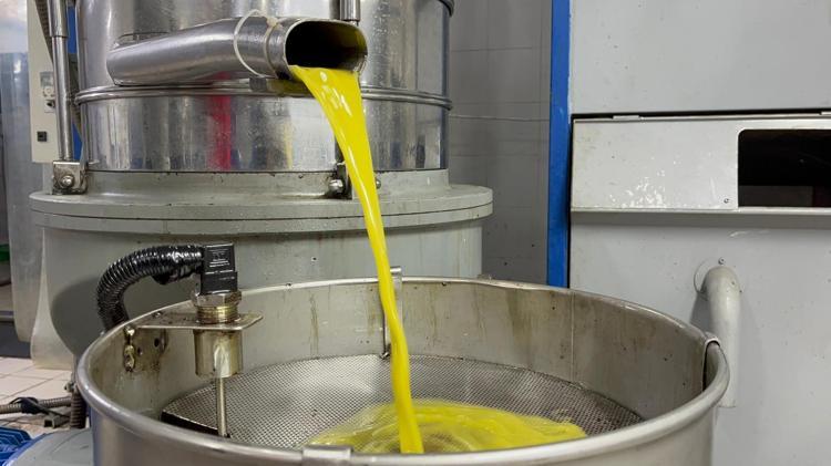 ‘YÜZYILLARDIR UYGULANAN TAŞ BASKIYLA FERMANTASYON METODUNU KULLANIYORUZ’