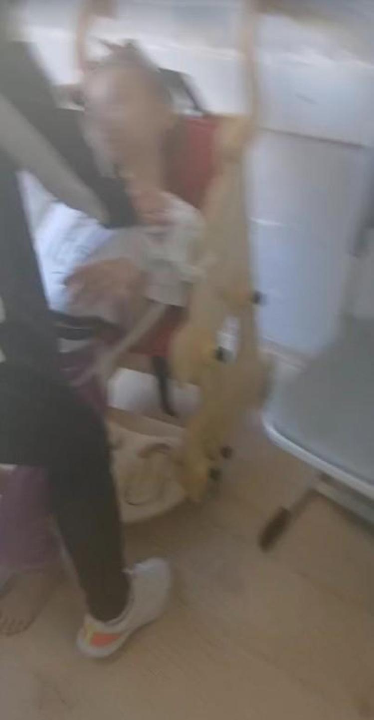 ‘ÖĞRENCİLERİ İDARE ETMEK İÇİN BAĞLIYORLAR’