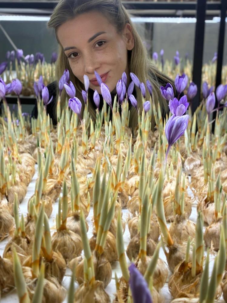 TARLADA SOĞAN GELİŞİMİ BİRAZ YAVAŞ OLUYOR