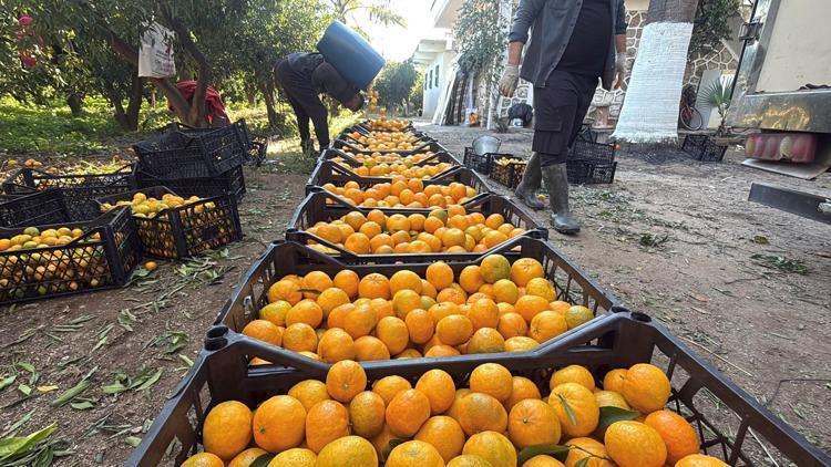 YEŞİL FORMU DA GÜZEL