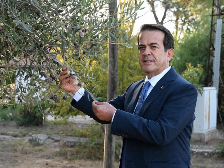 İLAÇ GİBİ ZEYTİNYAĞI