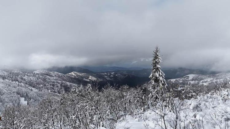 ‘4 MEVSİMİ BİR ARADA YAŞIYORUZ’