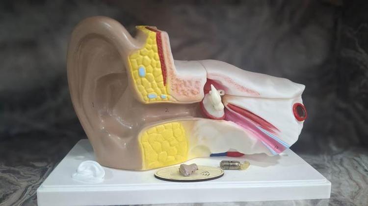 ‘İNSANLAR ATIK PİLLERİ ATACAK YER BULAMIYORDU’