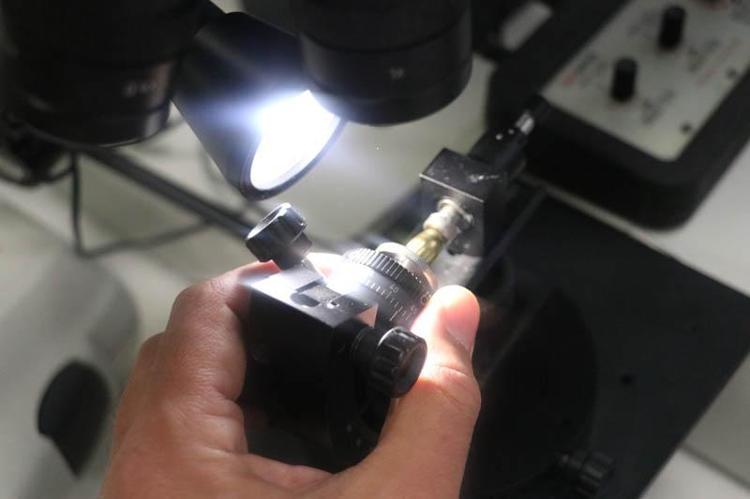 KOVAN VE MERMİ ÇEKİRDEKLERİNİ İNCELİYORUZ