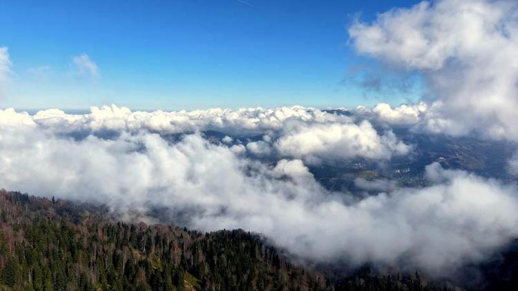‘ORMANLAR BİZİM SU ÜRETİM ALANLARIMIZ’