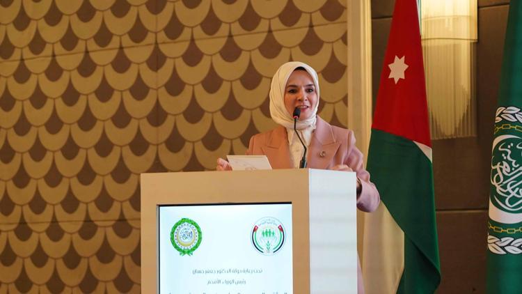 GÖKTAŞ, ARAP BİRLİĞİ GENEL SEKRETERİ GAYT İLE GÖRÜŞTÜ