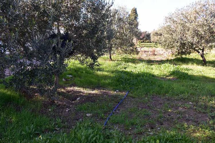 GÖKTEN YAĞAN BİR DAMLA SUYU BOŞA AKITMAYIN