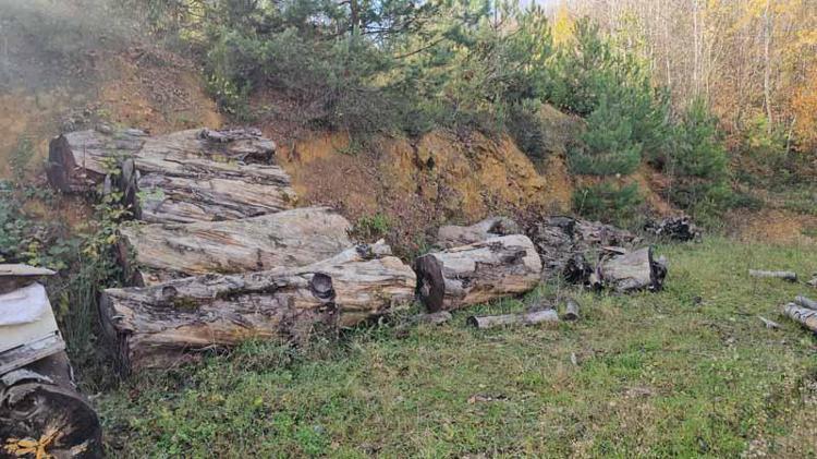 VERİLEN CEZA DA İPTAL OLDU