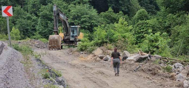 BİLİMSEL AMAÇLI SERGİLENECEK