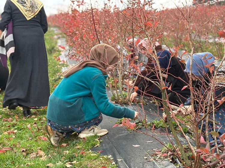 ‘GENÇLER BİLE KÖYE DÖNÜŞ YAPIYOR’