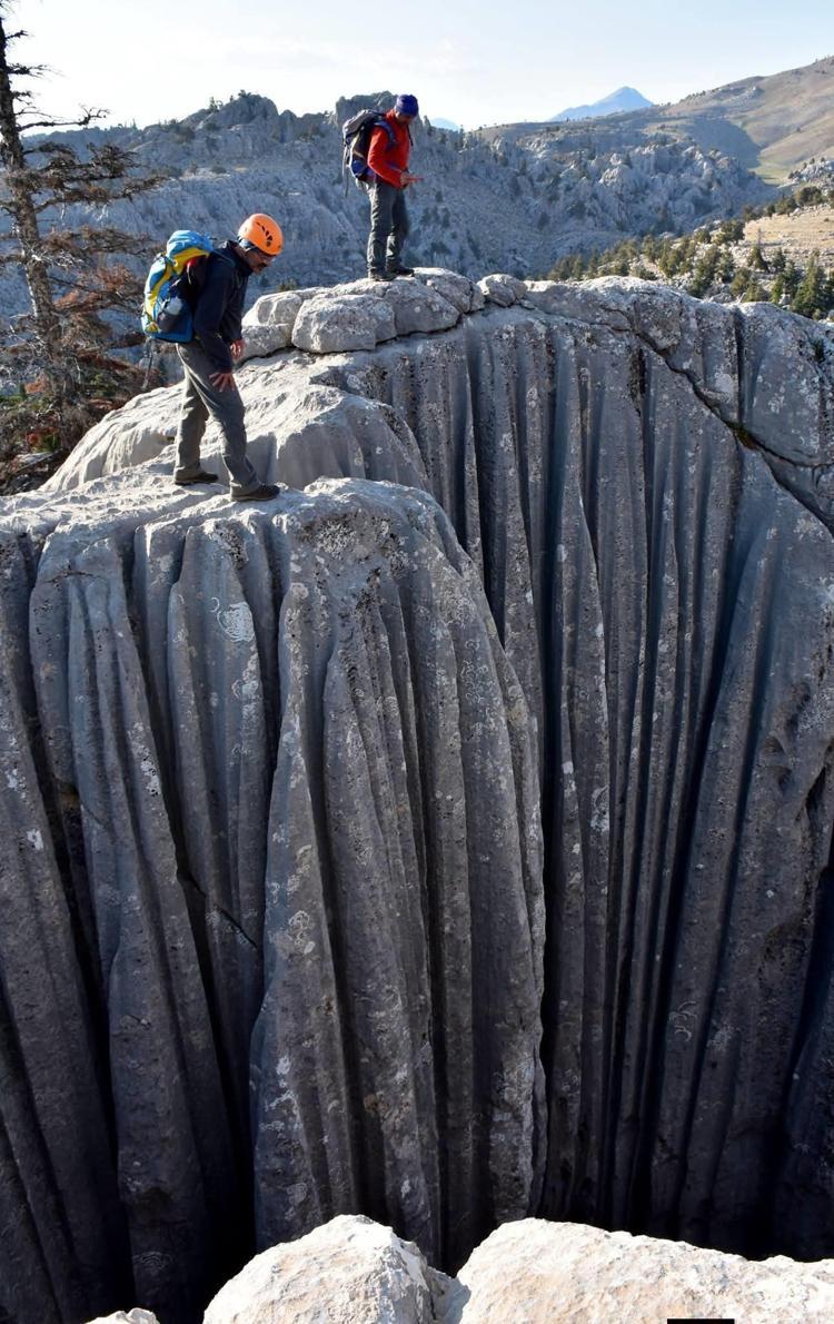 YABAN HAYATI ÇOK ZENGİN