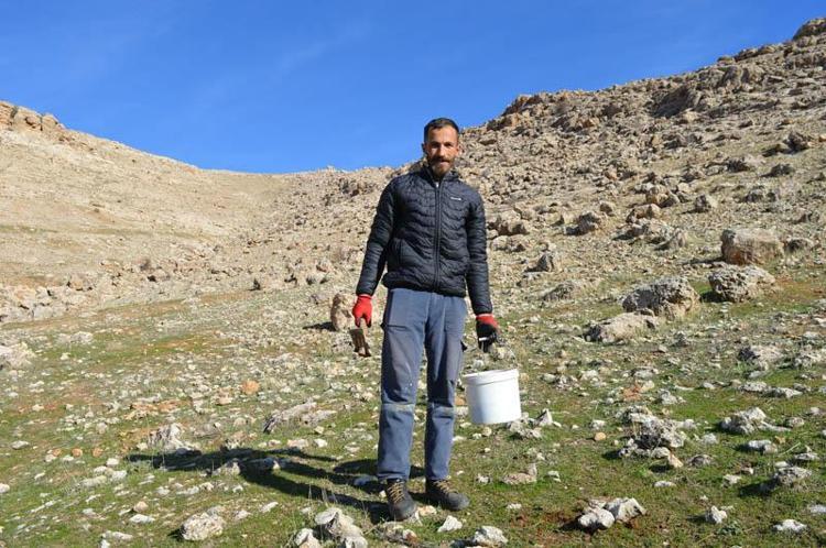 ‘AĞAÇLAR, DOĞA ÜZERİNDE BÜYÜK ETKİYE SAHİP’