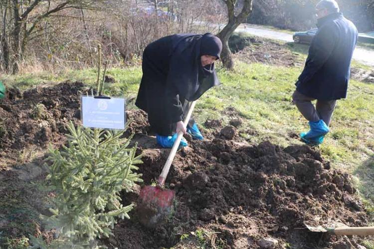 EN ANLAMLI AĞAÇ DİKİM TÖRENİ