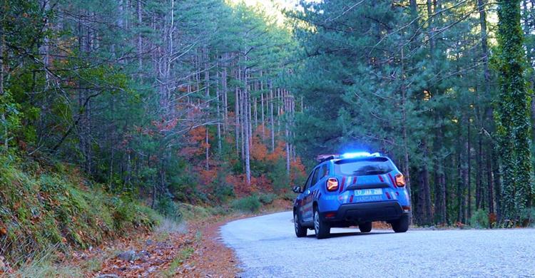 YÜKSEK OKSİJEN ORANINA SAHİP